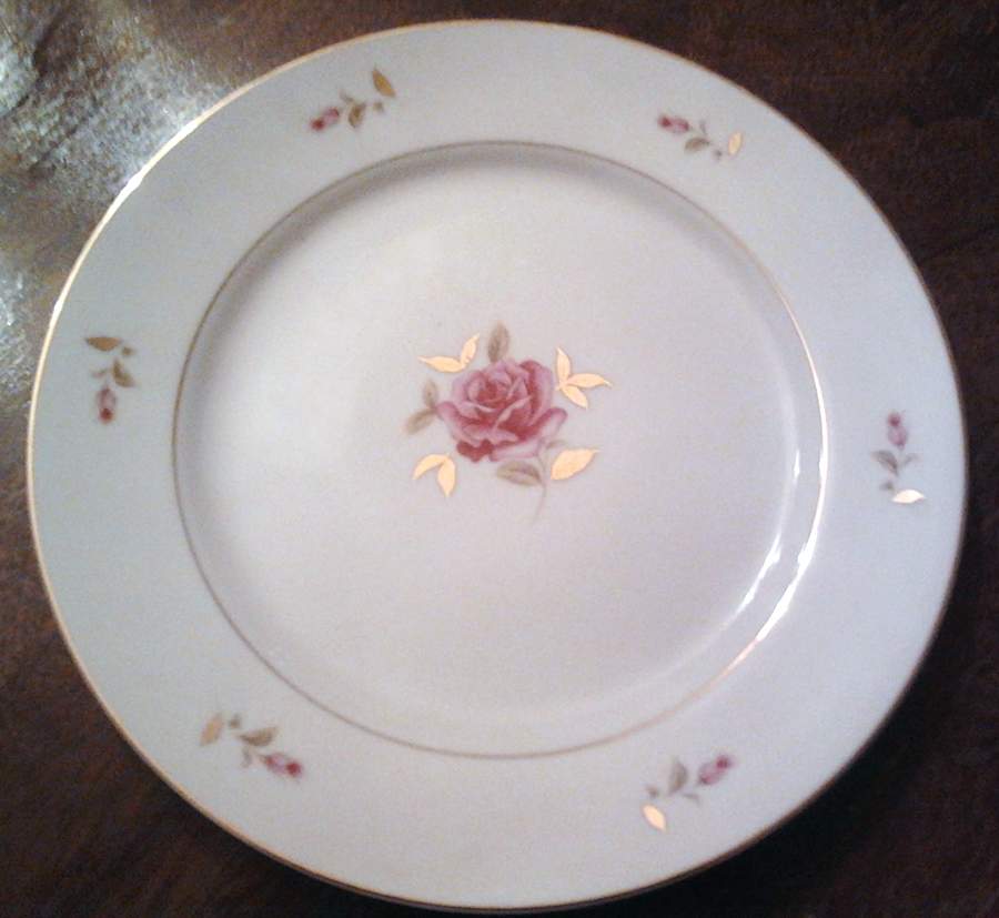 Elegance Dinner Plate by Correct Table Serv-1