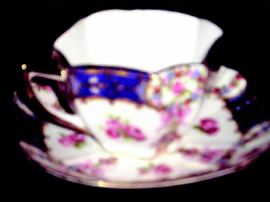 FDC3 Flat Cup & Saucer Set by Fleur de Lis-1