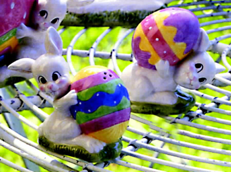Gathering Eggs Salt & Pepper Set by Fitz & Floyd-1