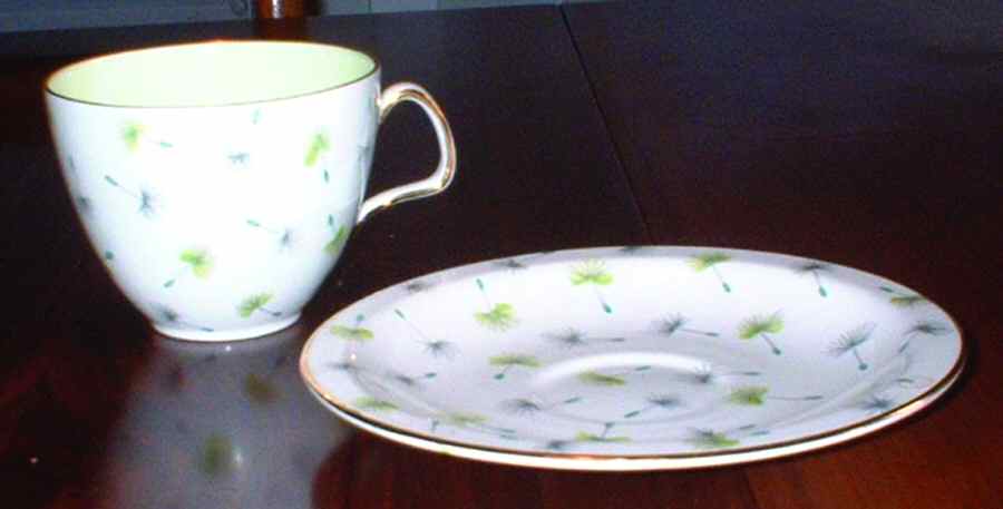 Thistledown Flat Cup & Saucer Set by Foley-1