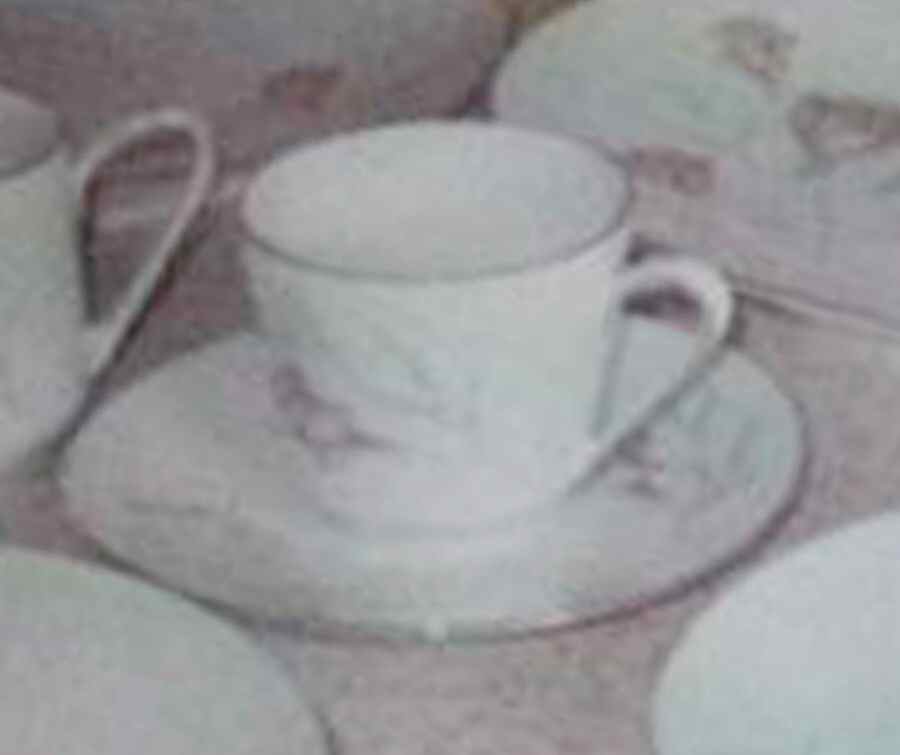 Huntington Rose Flat Cup & Saucer Set by Friedrich Kaestner-1