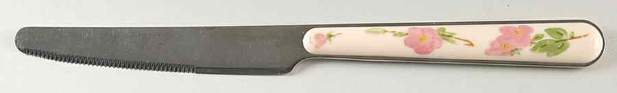Desert Rose (China) Small Dinner Knife by Franciscan-1
