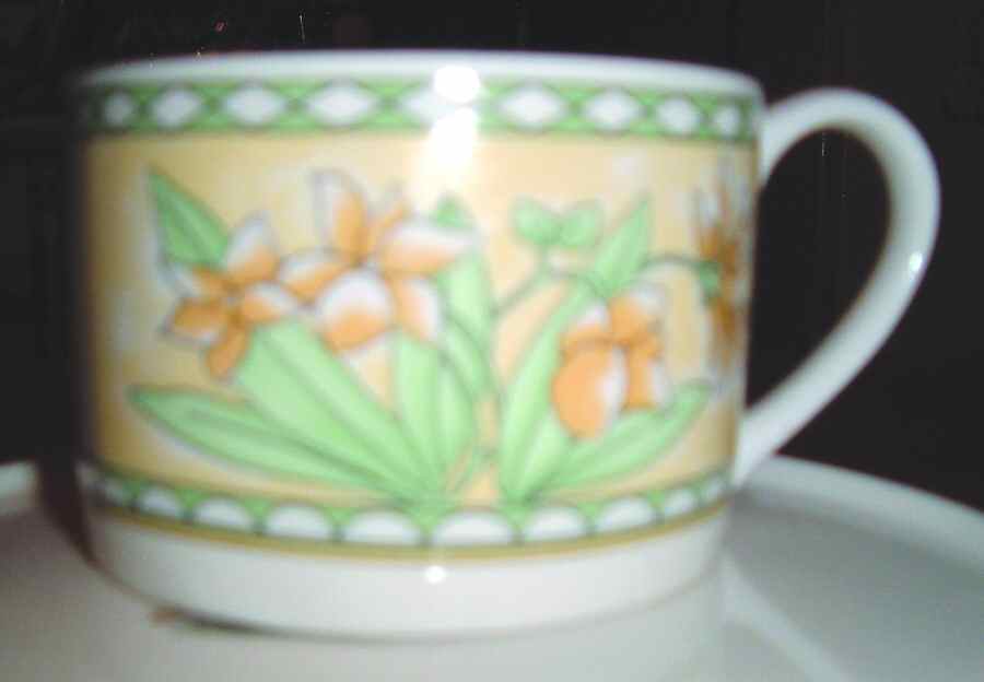 Chantilly Flat Cup by Farberware-1