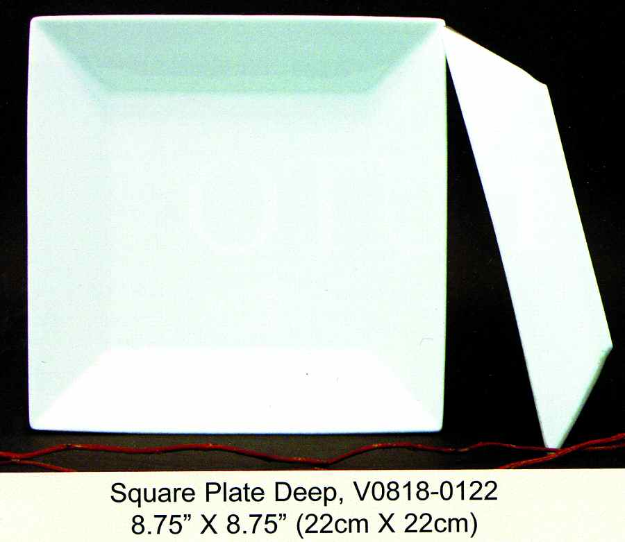 Plaza Square Salad Plate by Fortessa-1