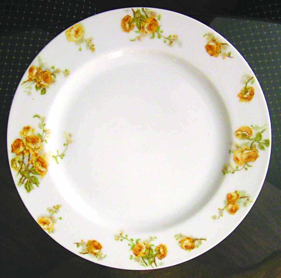 FAN35 Dinner Plate by France-1