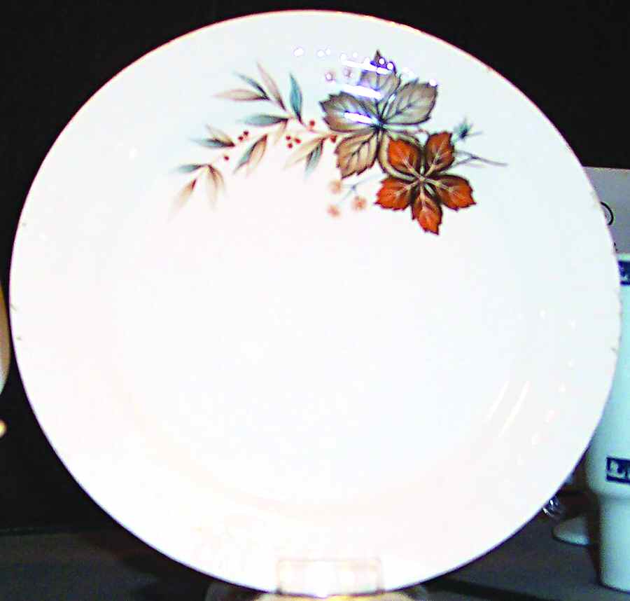 FIG12 Dinner Plate by Figgjo (Norway)-1