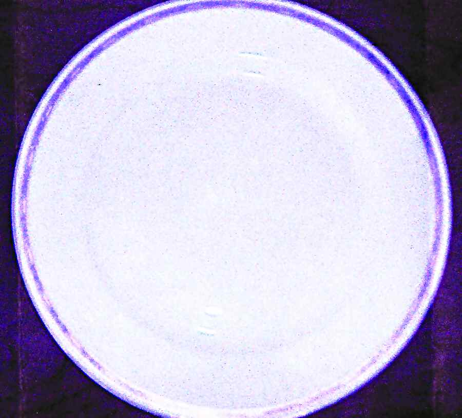 30453 Dinner Plate by Fraureuth-1