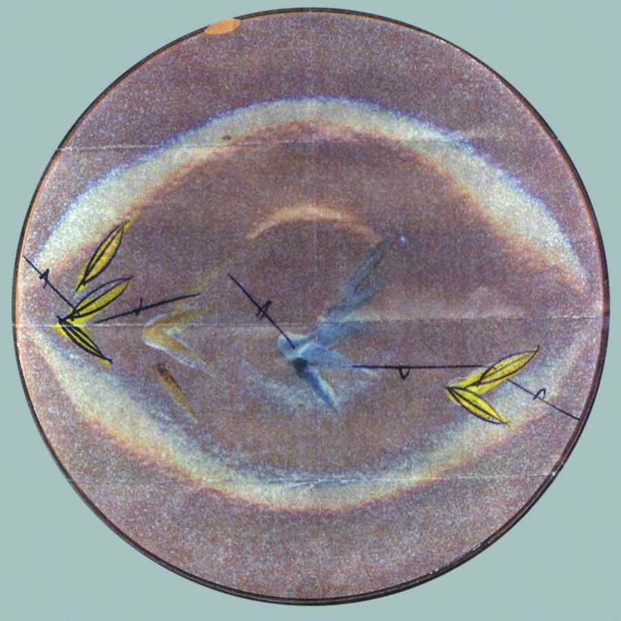 FUS1 Dinner Plate by Funcrest-1