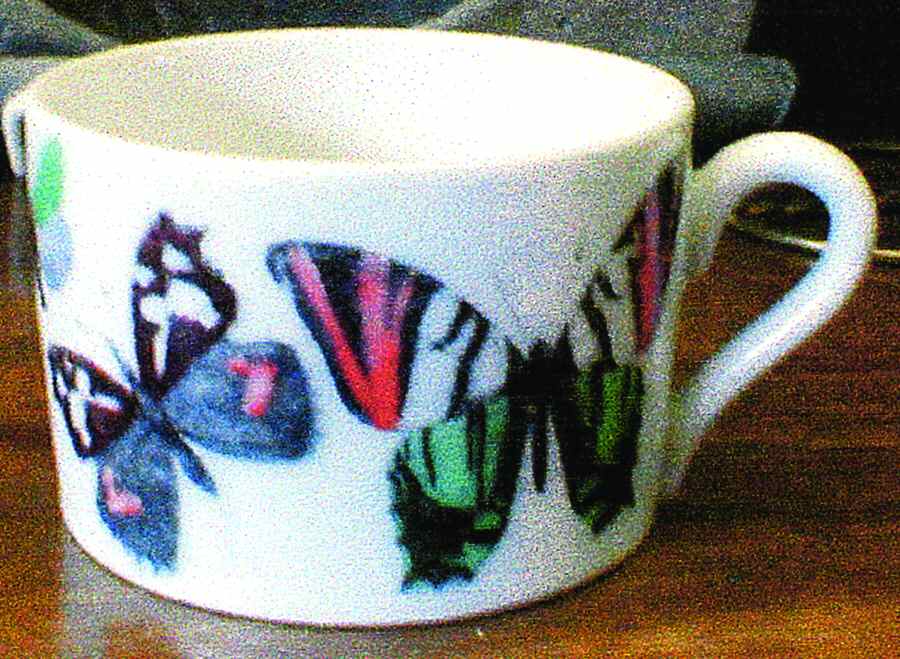 Farfalle Flat Cup by Piero Fornasetti-1