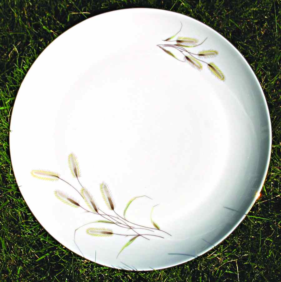 FAV52 Dinner Plate by Favolina-Karolina-1