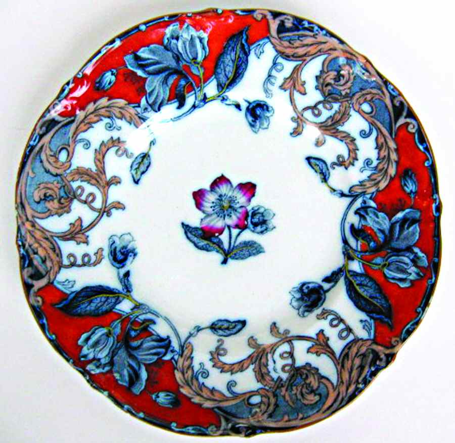 Paxton Multicolor Dinner Plate by Francis Morley-1