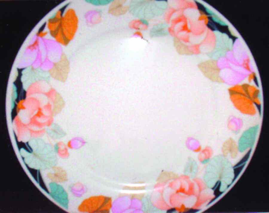 FCC186 Dinner Plate by Fine China of China-1