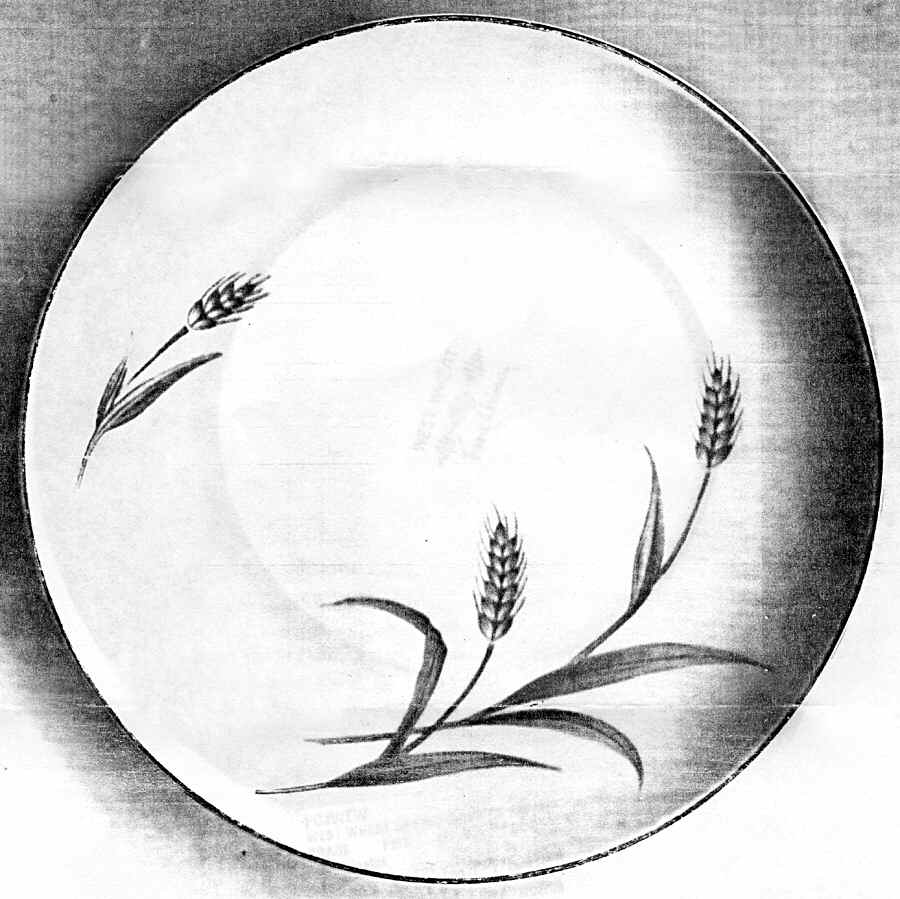 West Wheat Saucer by Fine China of Japan-1