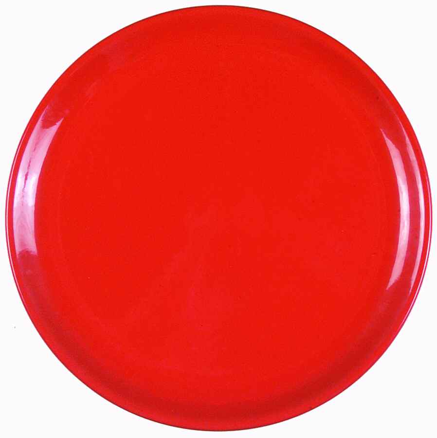 FAN49 Dinner Plate by France-1
