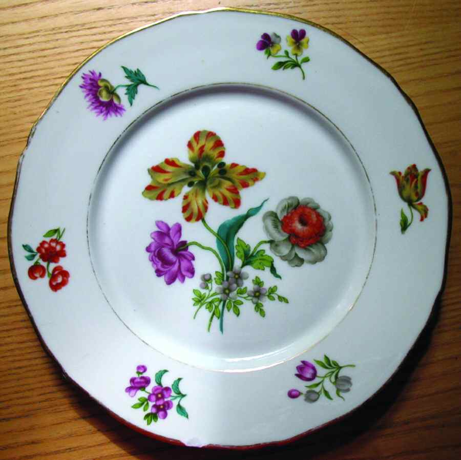 FAN55 Dinner Plate by France-1
