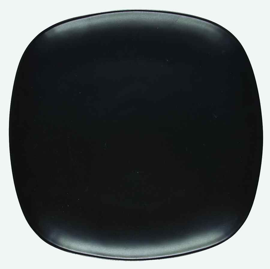 Worldview Onyx 13" Square Tray by Furio-1