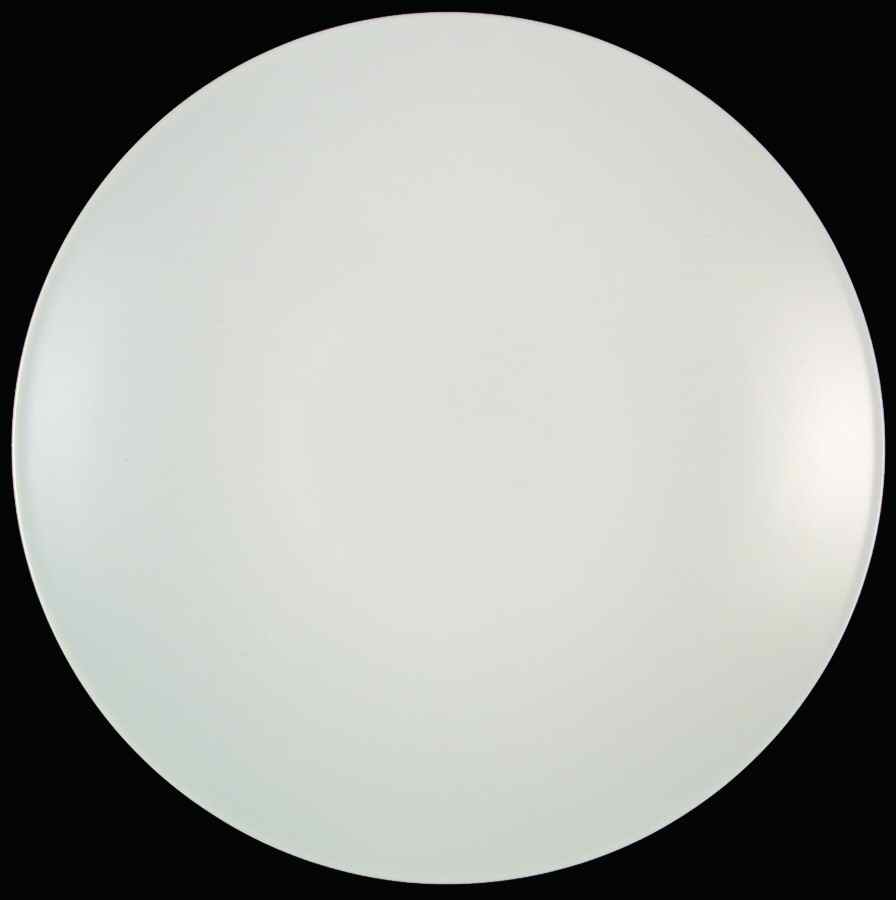 Worldview Chalk Dinner Plate by Furio-1