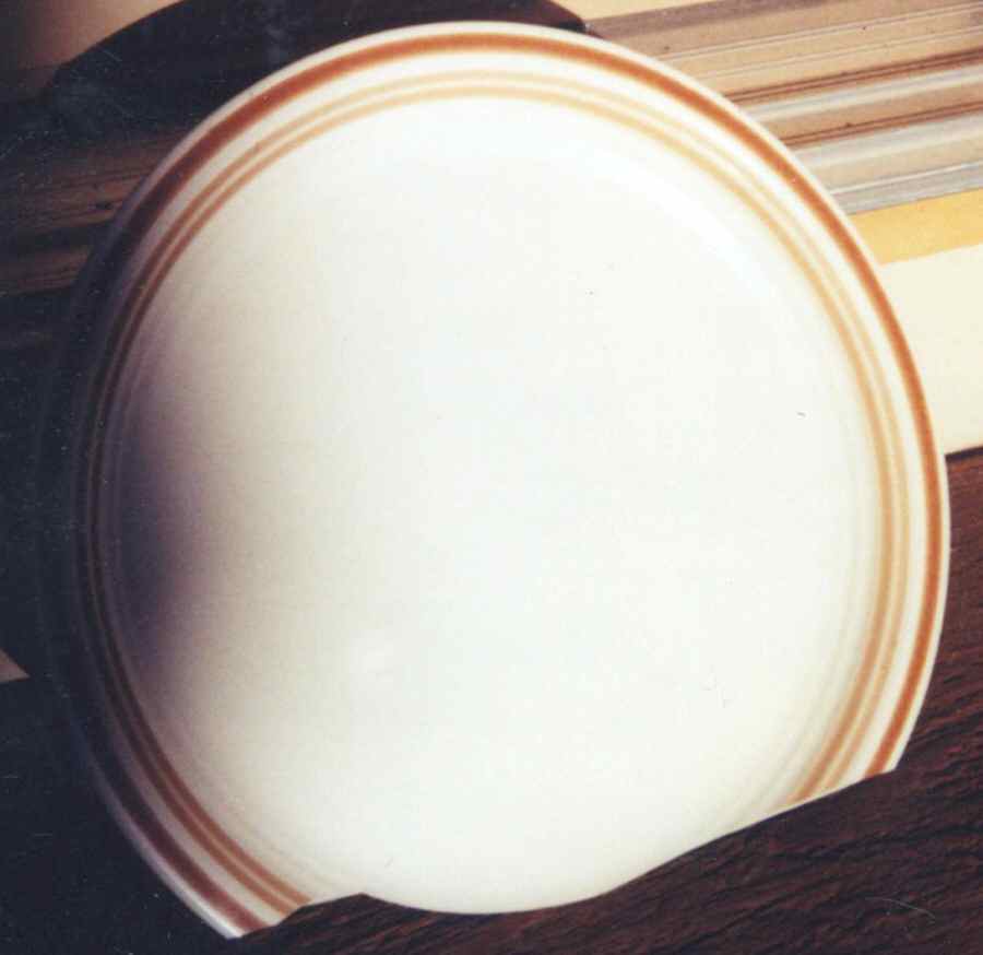 FUJ22 Dinner Plate by Fuji-1