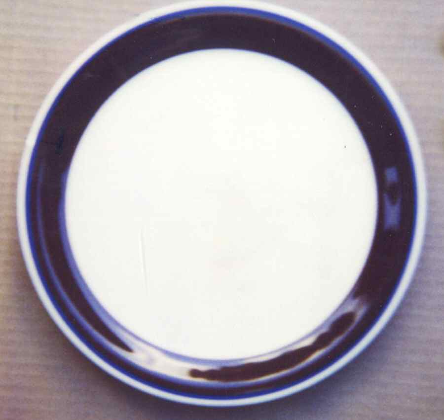 FUJ23 Dinner Plate by Fuji-1
