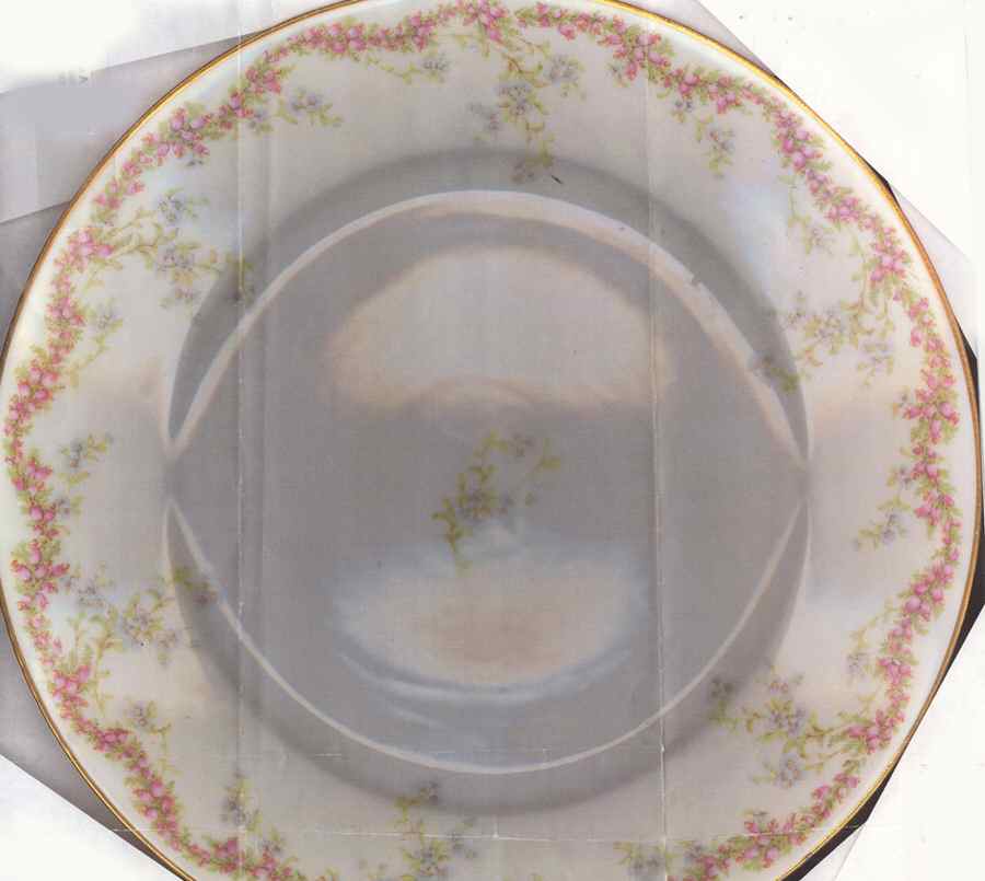 FXL4 Dinner Plate by French China - Limoges-1
