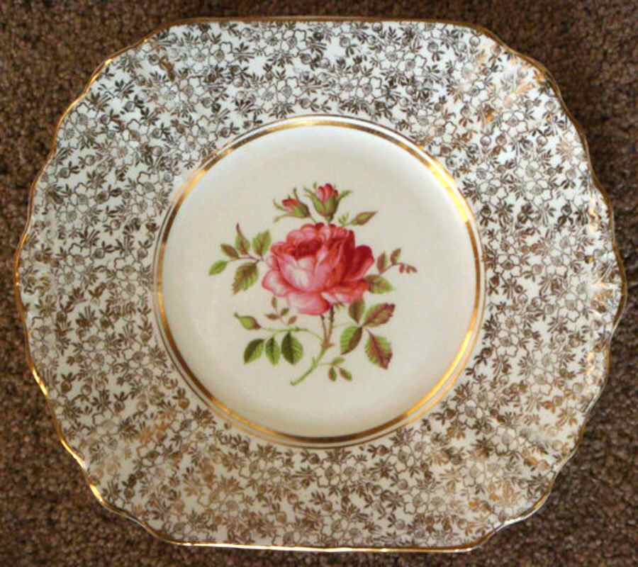 FTH11 Dinner Plate by Thomas Forester & Sons-1