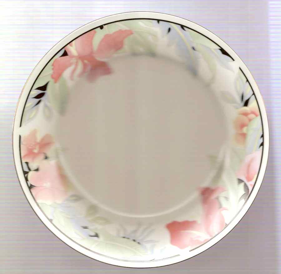 FCC189 Salad Plate by Fine China of China-1