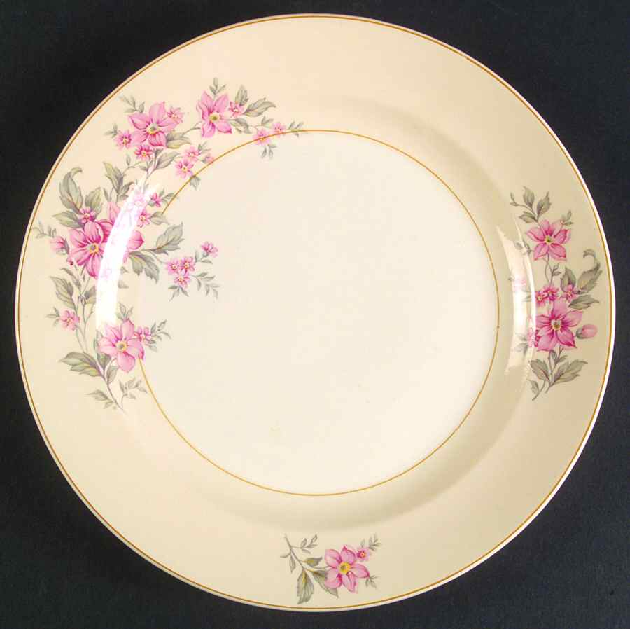 FSX145 Dinner Plate by French Saxon-1