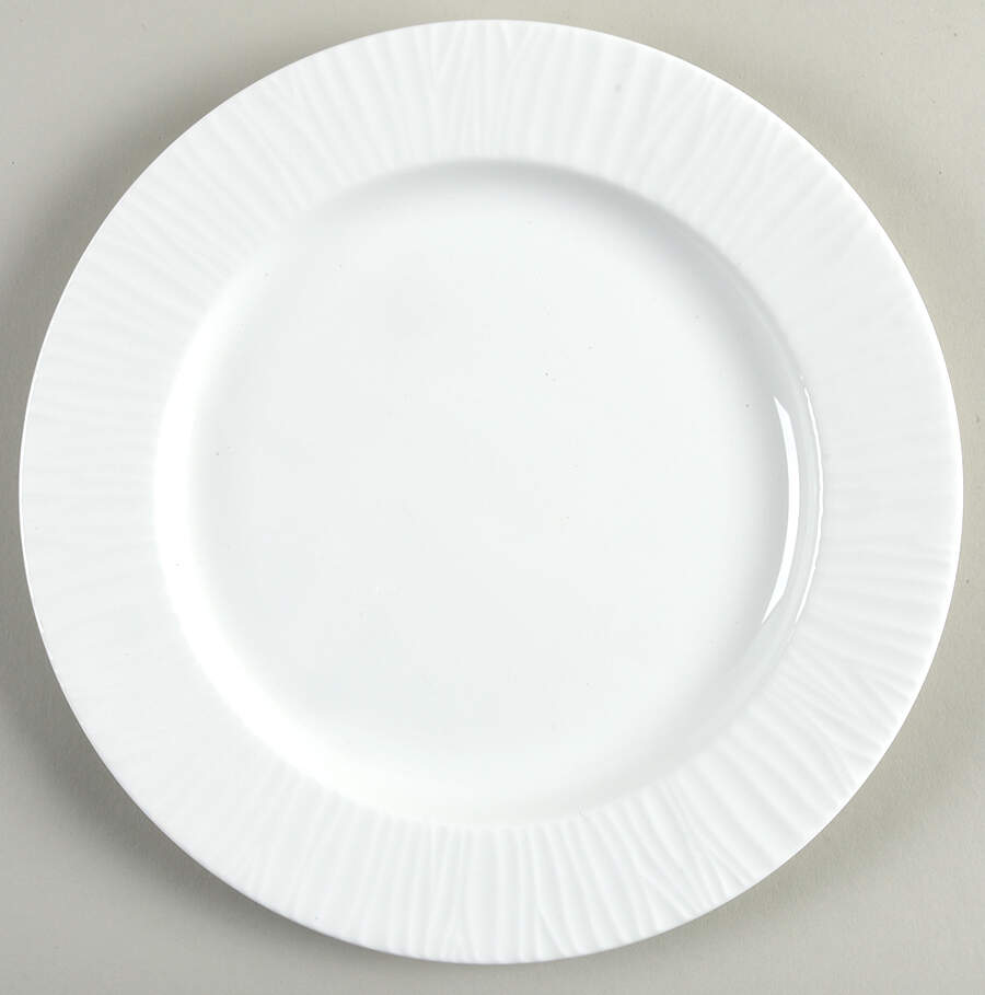 Cygna Dinner Plate by Fortessa-1