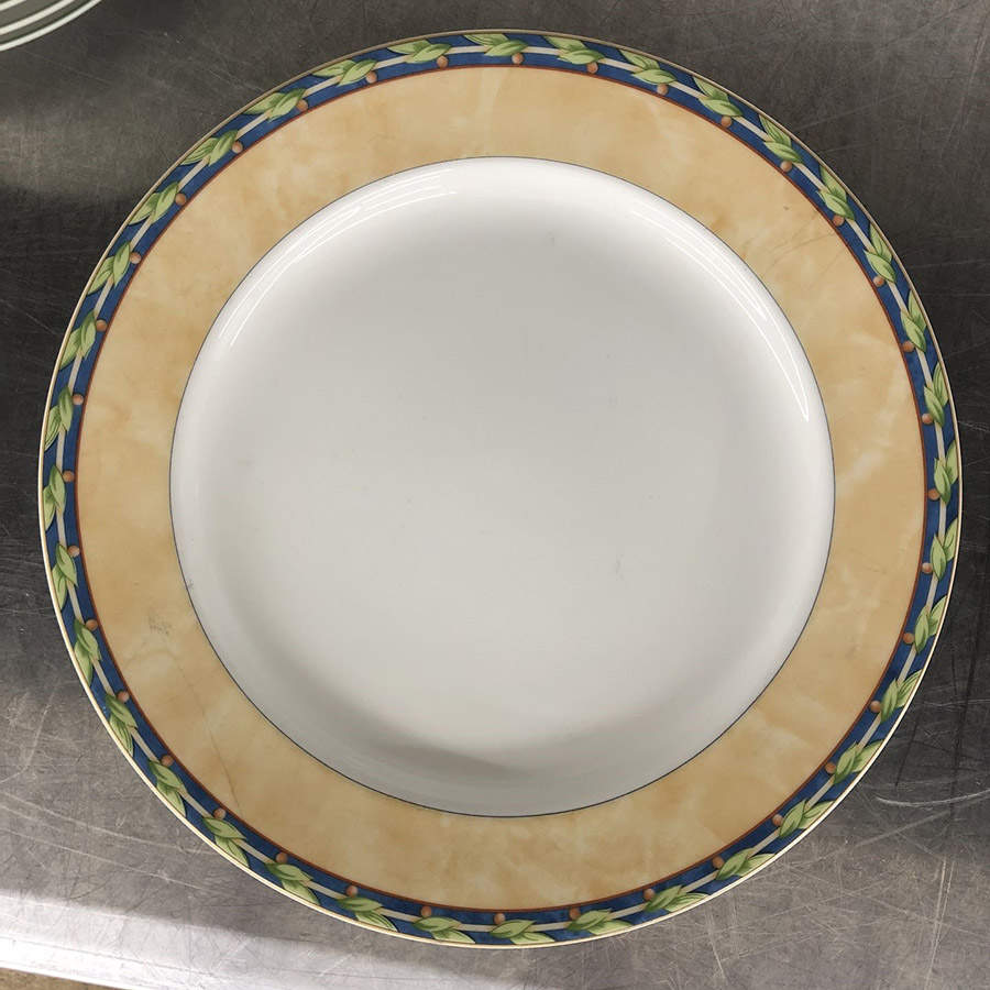 Ostia Dinner Plate by Fortessa-1