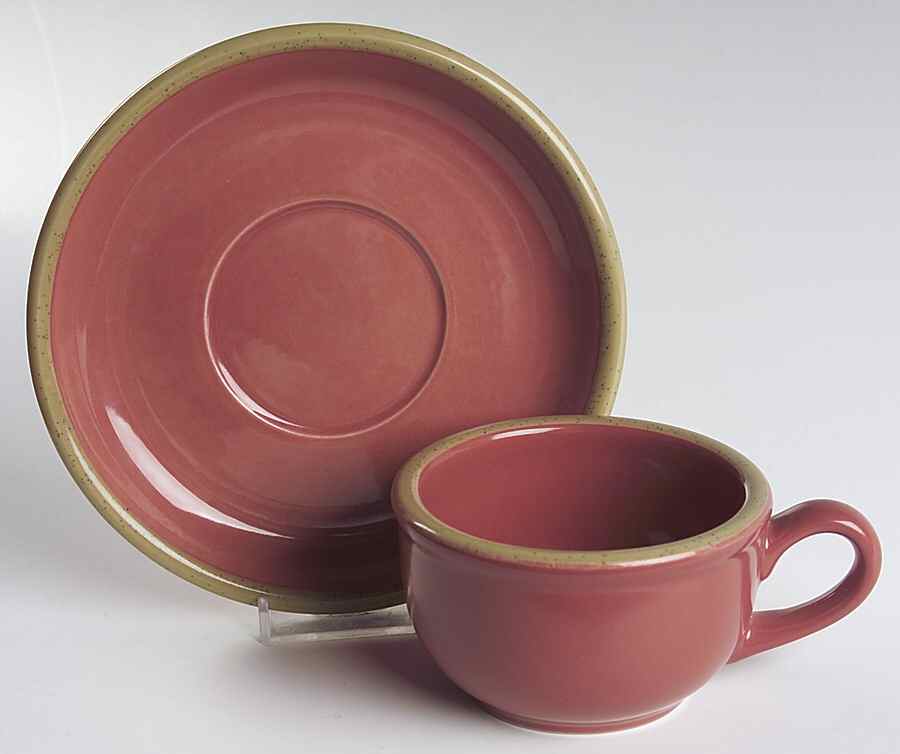 Ventura Rose Flat Cup & Saucer Set by Franciscan-1