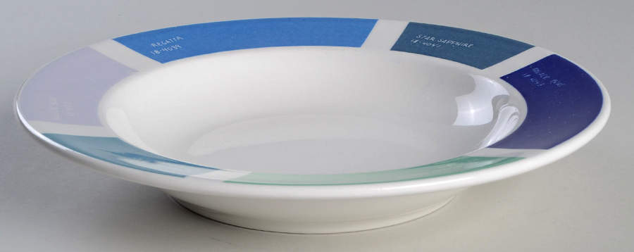 Pantone Rim Soup Bowl by Fishs Eddy-1