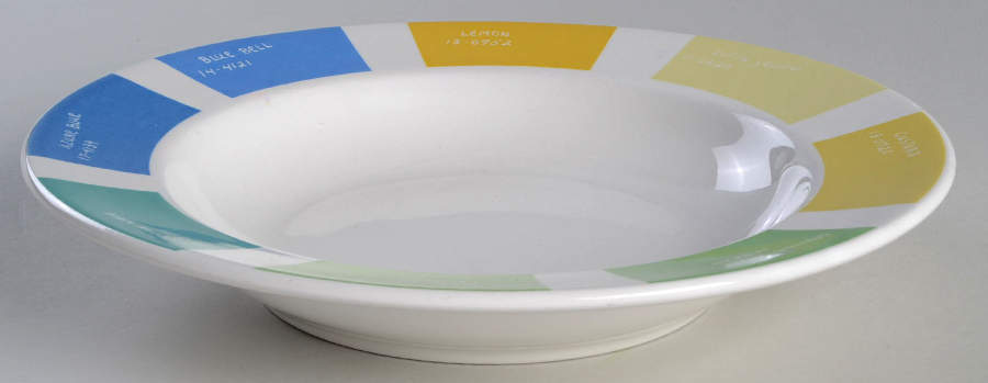 Pantone Rim Soup Bowl by Fishs Eddy-1