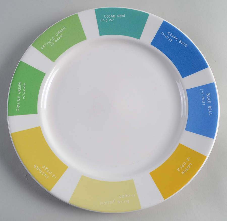 Pantone Dinner Plate by Fishs Eddy-1