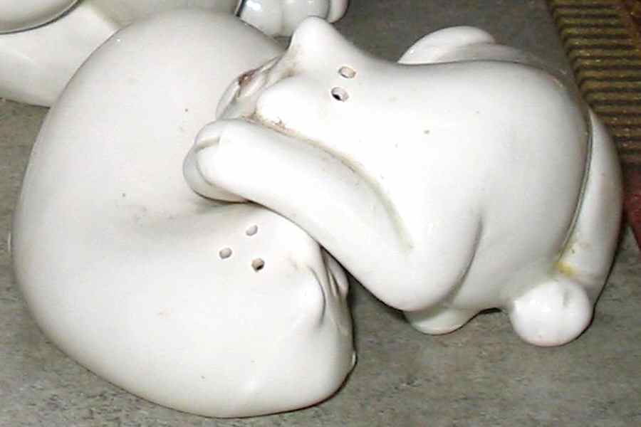 Fat Cat Cat Nap Figural Salt & Pepper Set by Fitz & Floyd-1