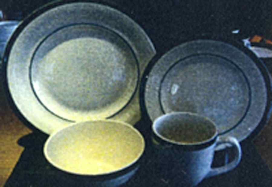 Trattoria Hunter Dinner Plate by Farberware-1