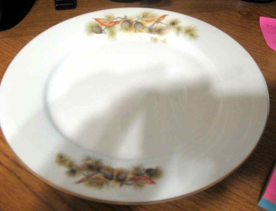 FST8 Dinner Plate by First China (Japan)-1