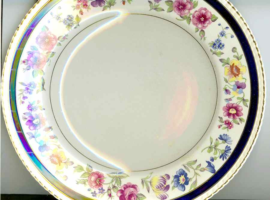FON110 Dinner Plate by Fondeville-1