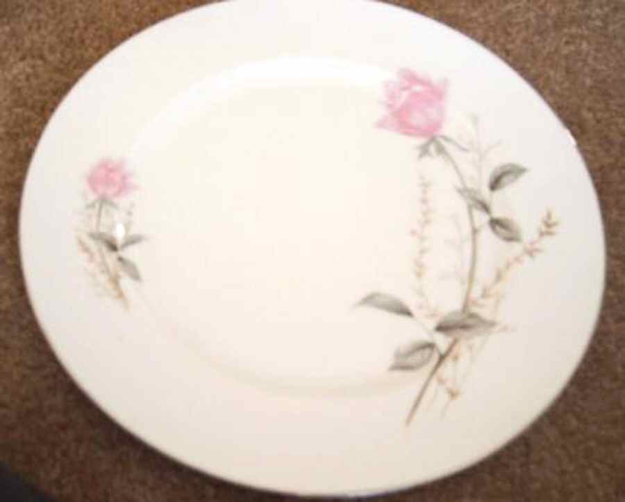 FCJ59 Dinner Plate by Fine China of Japan-1