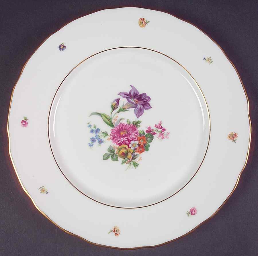 FAN70 Dinner Plate by France-1