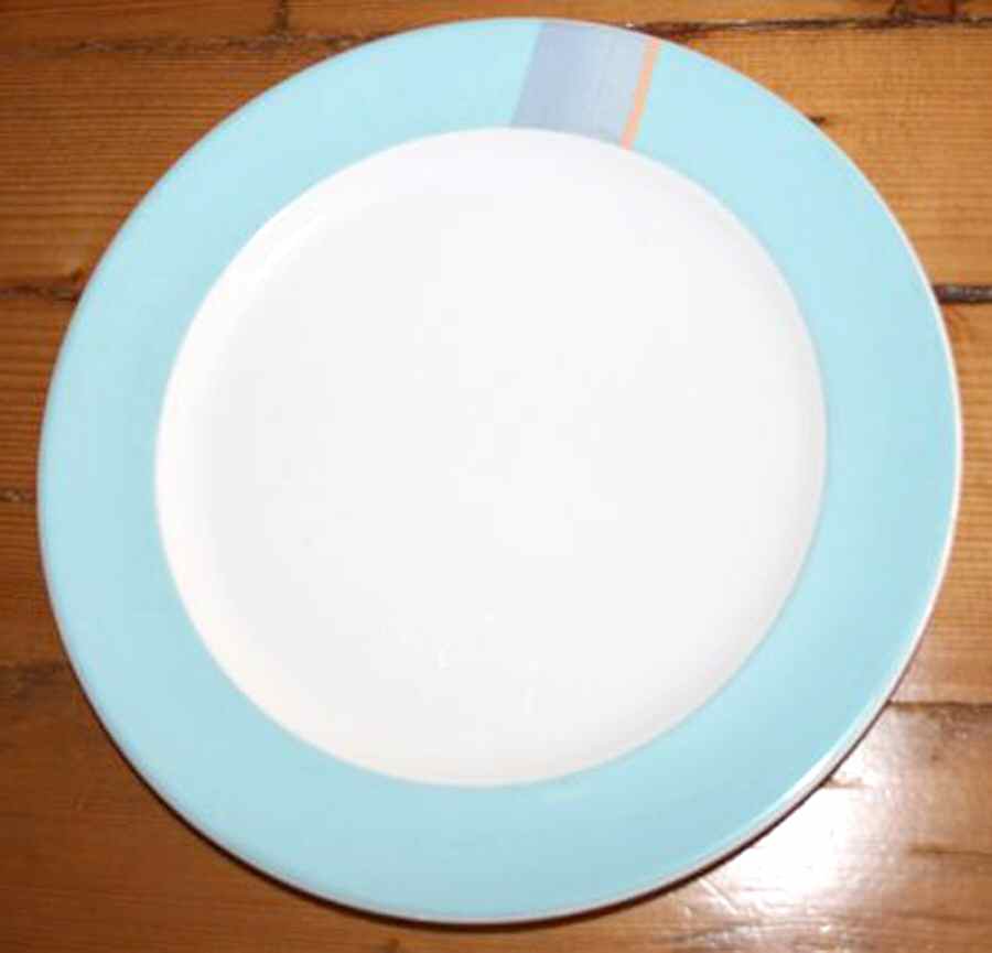 FID10 Dinner Plate by Friesland-1