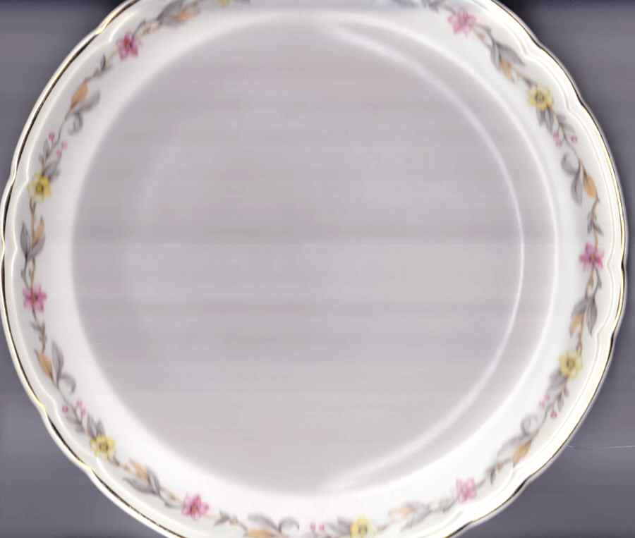 FSX163 Dinner Plate by French Saxon-1