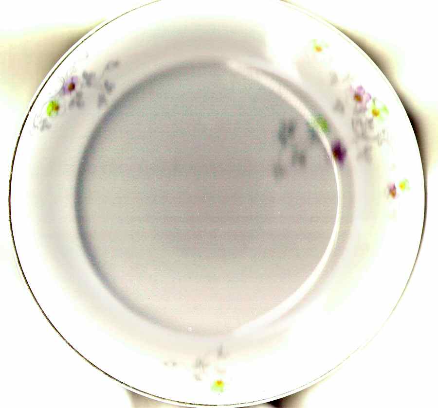 9836 Salad Plate by Friedrich Kaestner-1