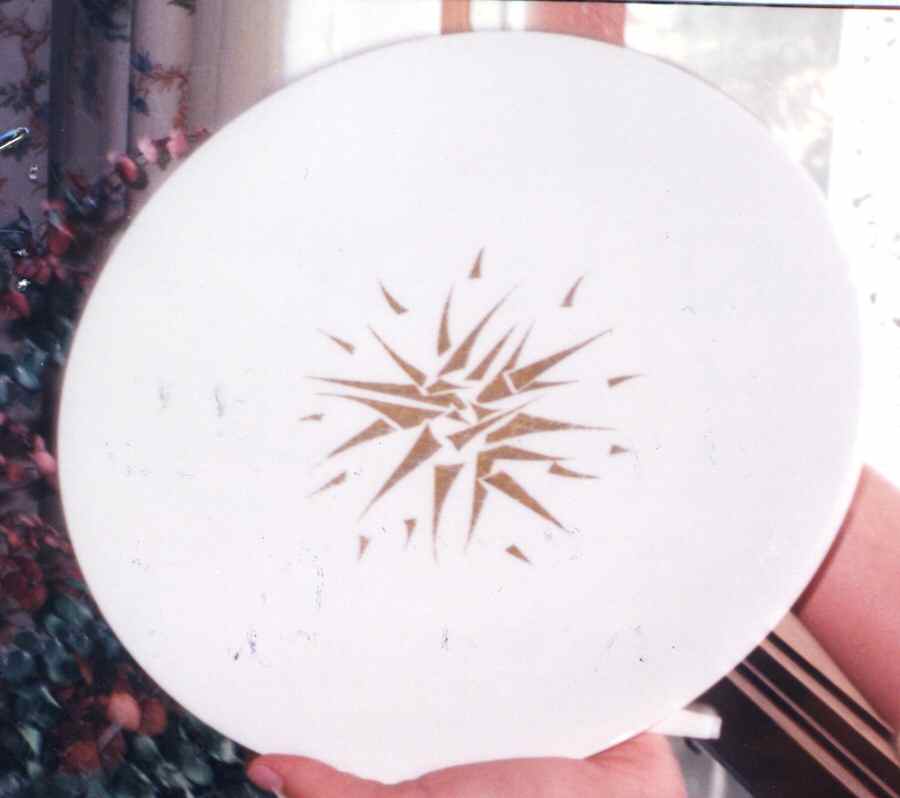FAN75 Dinner Plate by France-1