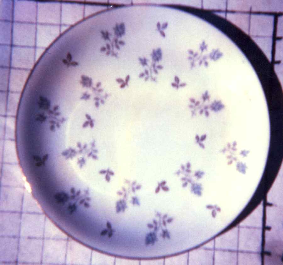 FNJ2 Dinner Plate by Florian (Japan)-1