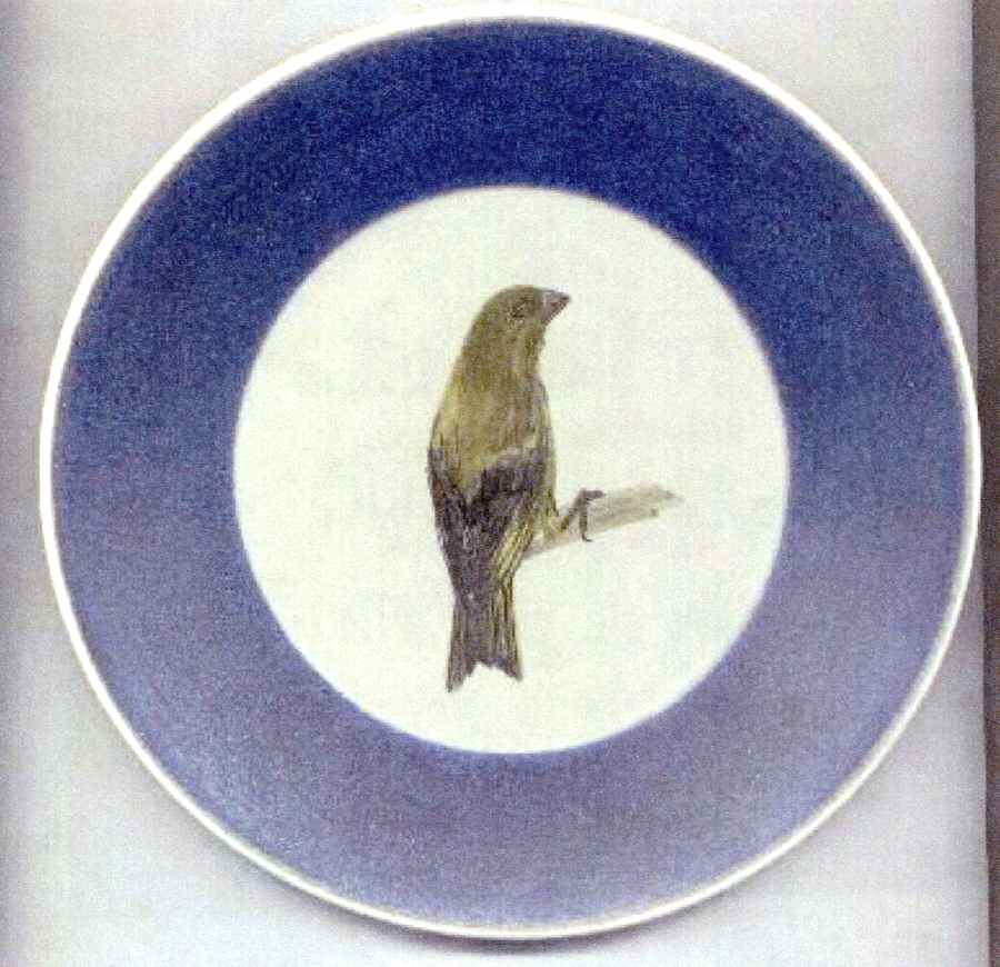 M0G3 Salad Plate by Marcel Guillot-1
