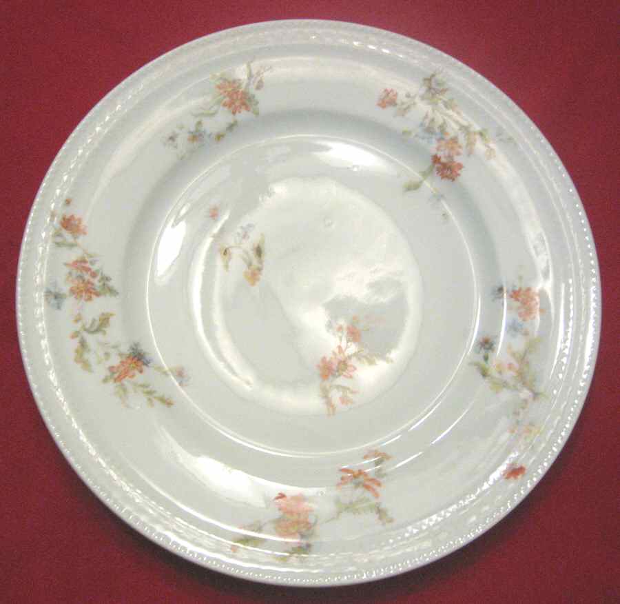 FRH17 Dinner Plate by Frank Haviland-1