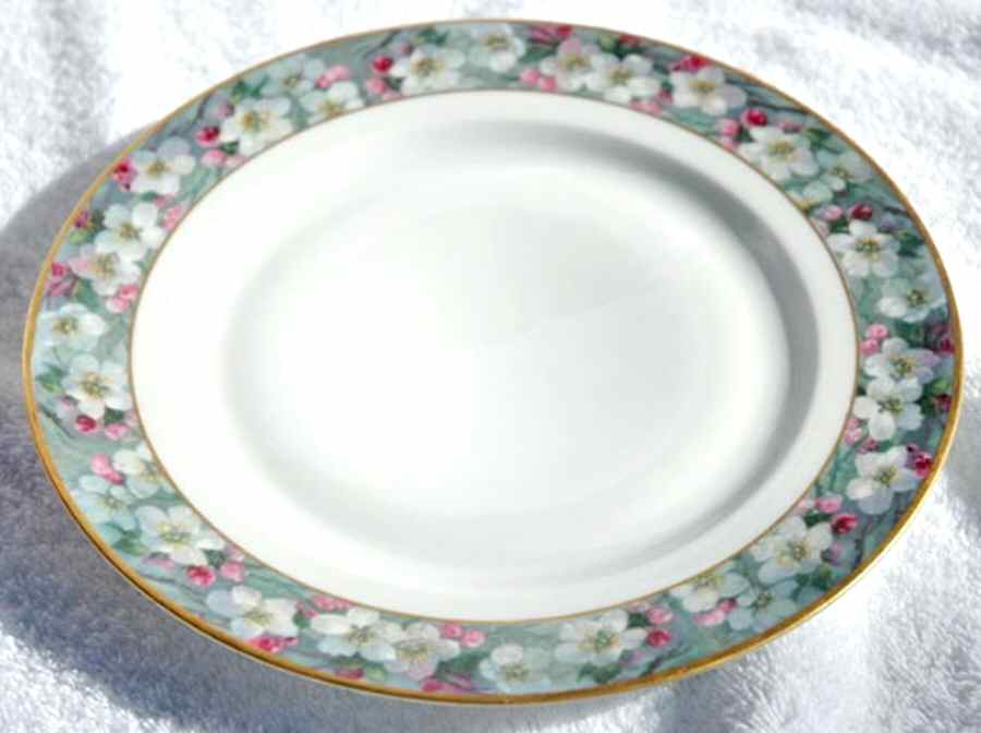 25594 Dinner Plate by Fraureuth-1