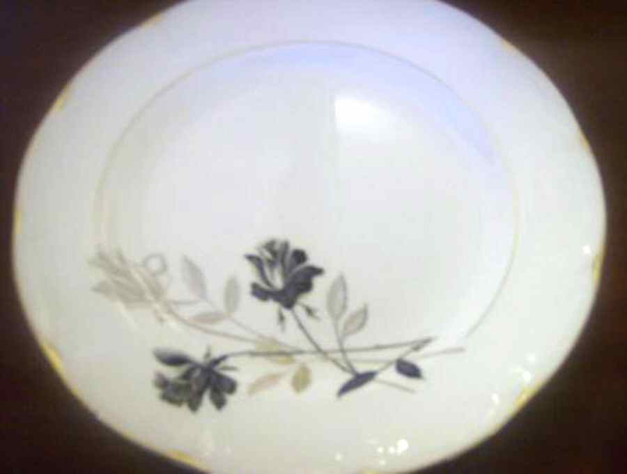 FIG20 Dinner Plate by Figgjo (Norway)-1
