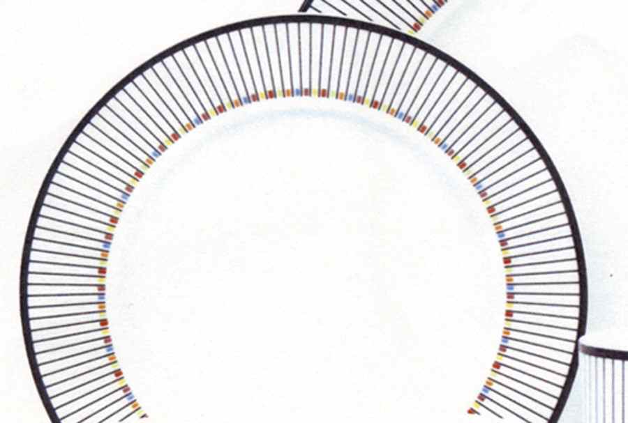 Grammercy Salad Plate by Fitz and Floyd-1
