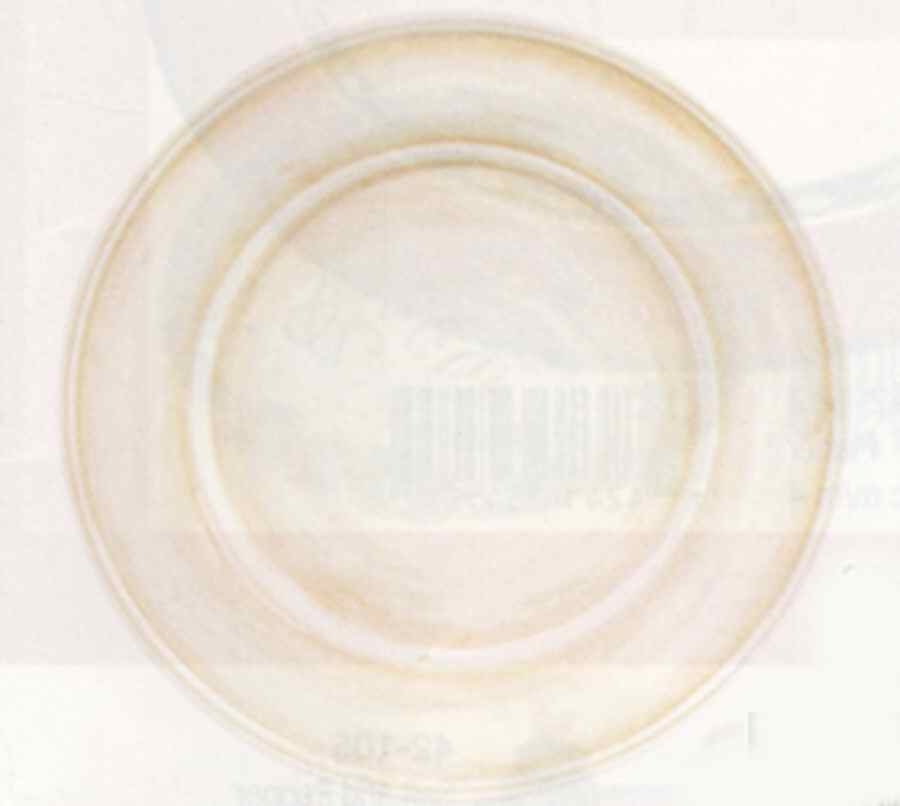 Artisan Beige Dinner Plate by Fitz and Floyd-1